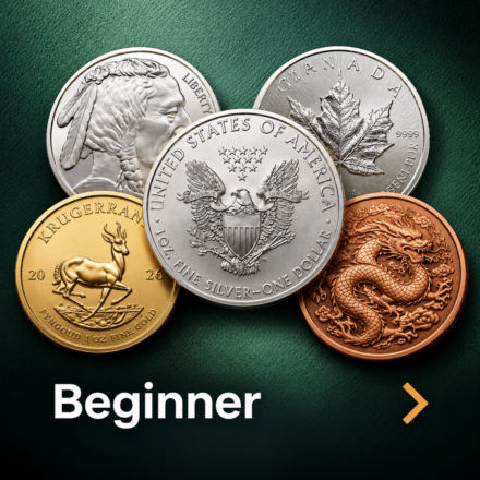 Beginner